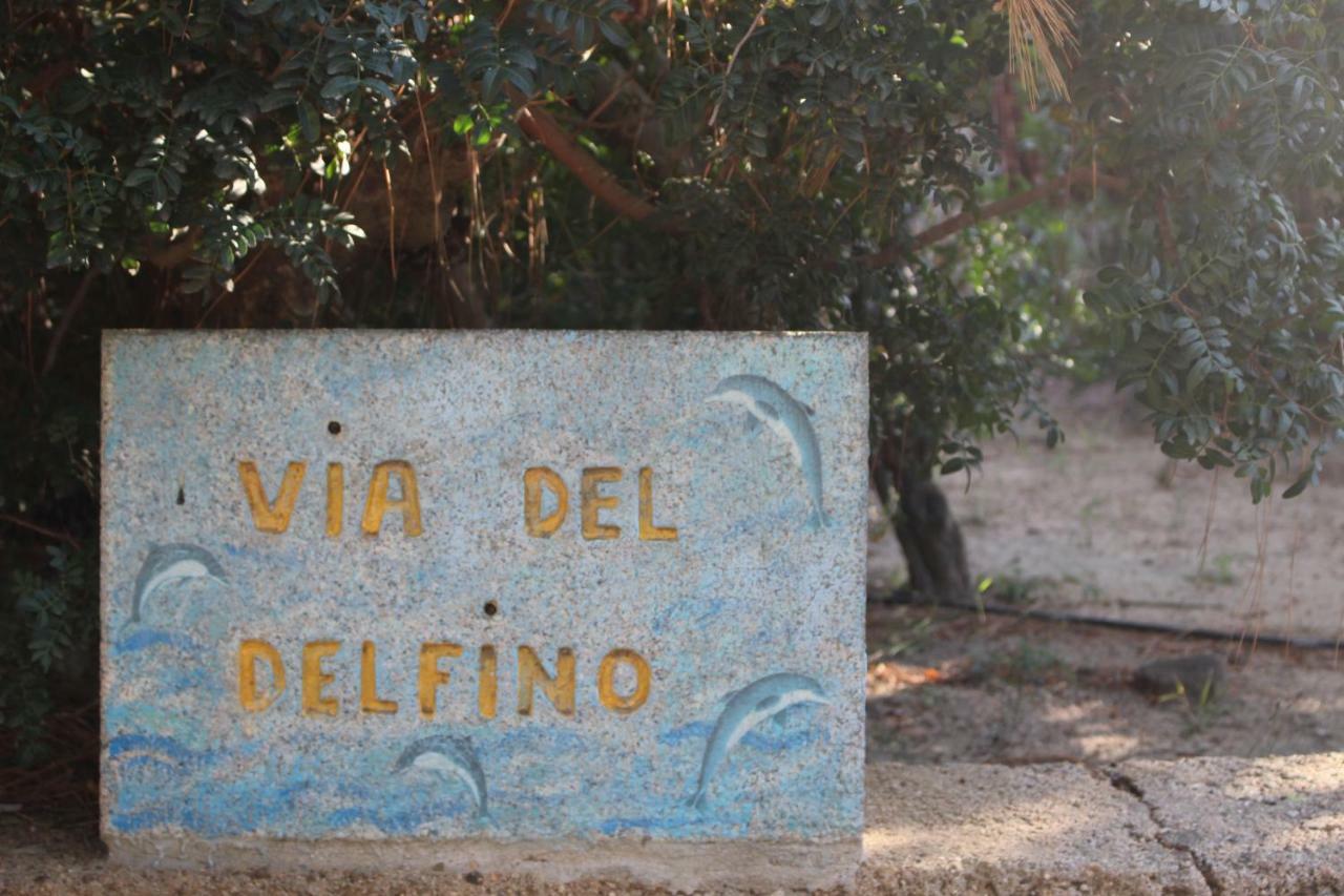 Flamingos in the desert Villasimius Exterior foto