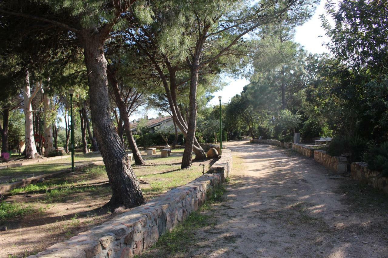 Flamingos in the desert Villasimius Exterior foto